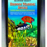 ocean-nutrition-brown-marine-algae-12g