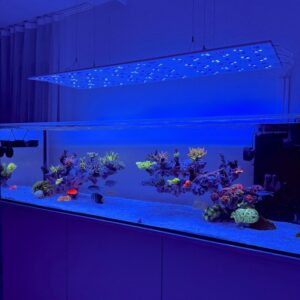 Straton Flex G2 102 - anthrazit