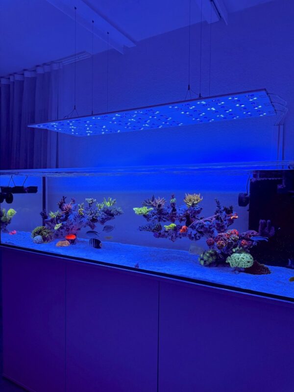 Straton Flex G2 102 - anthrazit