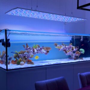 Straton Flex G2 102 - anthrazit