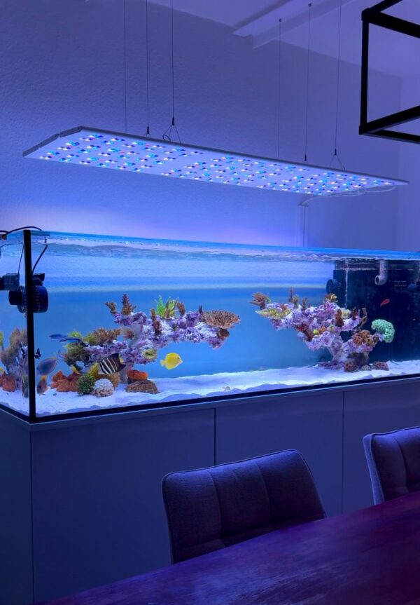 Straton Flex G2 102 - anthrazit